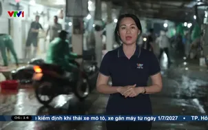 Xóa bỏ hoạt động giết mổ gia súc, gia cầm nhỏ lẻ 