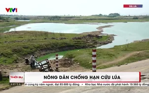 Nông dân chống hạn cứu lúa