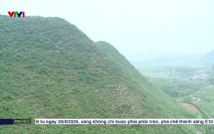 Báo động nguy cơ cháy rừng ở nhiều nơi