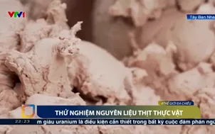 Thử nghiệm nguyên liệu thịt thực vật