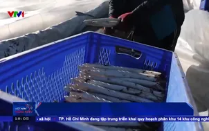 Đức cân nhắc nâng tuổi nghỉ hưu