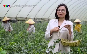 VTV Sống khỏe - Dinh dưỡng cho người Việt: Những bữa ăn dặm nhiều màu sắc