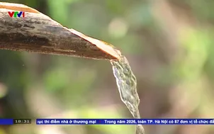 Nguy cơ thiếu nước sinh hoạt