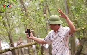 Môi trường và cuộc sống: Pháo đài xanh giữ bờ