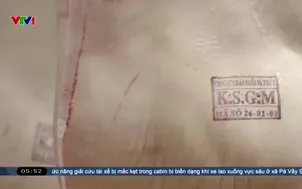 Chấn chỉnh hoạt động giết mổ gia súc 