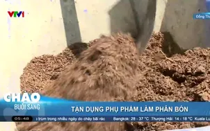 Tận dụng phụ phẩm làm phân bón 