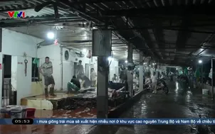 Xóa bỏ giết mổ gia súc, gia cầm không đủ điều kiện 