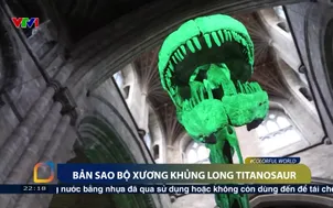 Bản sao bộ xương khủng long Titanosaur