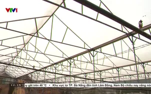 Loay hoay xử lý nhà kính khu vực nội ô Đà Lạt