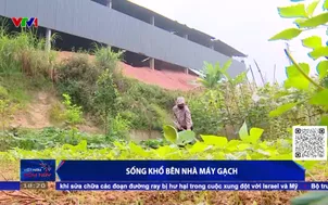 Sống khổ bên nhà máy gạch  