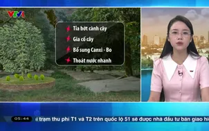 Bản tin thời tiêt 5h30 - 15/4/2026