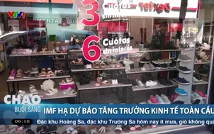 Imf hạ dự báo tăng trưởng kinh tế toàn cầu