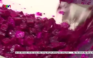 Điều chỉnh thủ tục hành chính hỗ trợ doanh nghiệp xuất khẩu