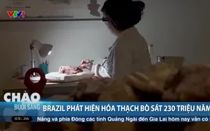 Brazil phát hiện hóa thạch bò sát 230 triệu năm
