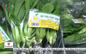 Cải cách hoàn thiện thể chế để thu hút đầu tư