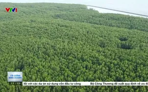 Giao dịch Carbon qua tài khoản chứng khoán