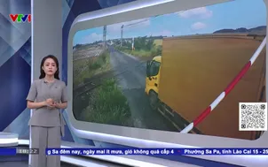 Nguy cơ tai nạn do không chấp hành tín hiệu đường sắt