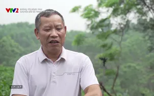 Đường tới nông trại: Chuyển đổi số trong ngành chè