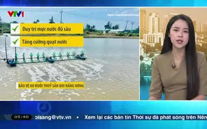 Bản tin thời tiết 5h30 - 19/4/2026