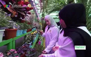 	VTV Sống khỏe: 	Bệnh Parkingson - Những điều cần biết