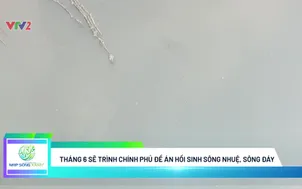 Môi trường và cuộc sống: Dòng sông ngày càng bị hạ thấp và những hệ lụy