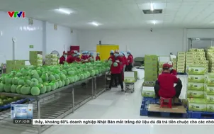 Giữ nhịp xuất khẩu - thực hiện mục tiêu tăng trưởng 2 con số