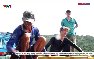 Tháo dỡ lồng bè thủy sản ra khỏi vịnh Vũng Rô