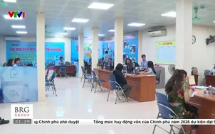 Bố trí vận hành sàn giao dịch việc làm quốc gia