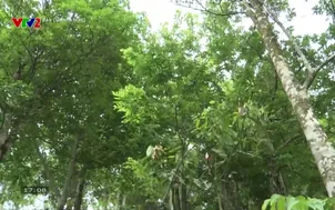 Bạn của nhà nông (2026) - Số 9