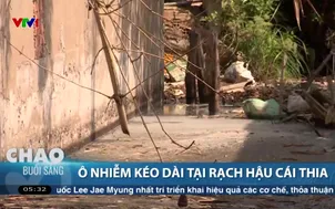 Ô nhiễm kéo dài tại rạch Hậu Cái Thia