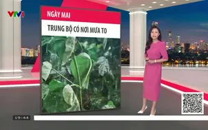 Bản tin thời tiết 19h45 - 24/4/2026