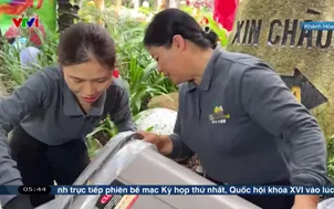 Buổi sáng với trứng nhựa mỹ nghệ