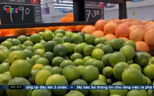 Ngành rau quả đón nhiều cơ hội bứt phá