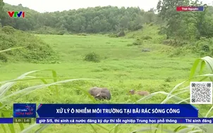 Xử lý ô nhiễm môi trường tại bãi rác sông Công