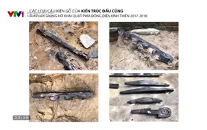 Ánh sáng tri thức: Giải mã gen văn hóa