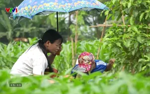 Trái tim cho em: Nơi hy vọng nảy mầm giữa gian khó