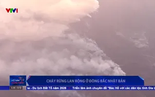 Cháy rừng lan rộng tại Đông Bắc Nhật Bản