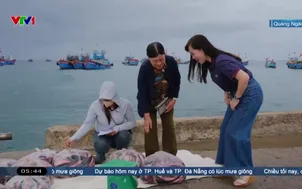 Ngày mới tại cảng cá Lý Sơn