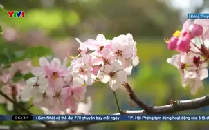 Các điểm du lịch chuẩn bị đón khách