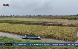 Khởi nghiệp hiệu quả từ sản vật địa phương