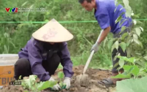 Môi trường và cuộc sống: Hành trình phục hồi của đất