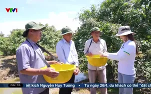 Ngày mới trên chuyến xe thanh nhãn
