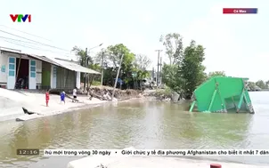 Cà Mau báo động sạt lở đất mùa khô