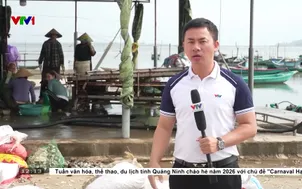 Chưa rõ nguyên nhân hàng trăm tấn ngao chết