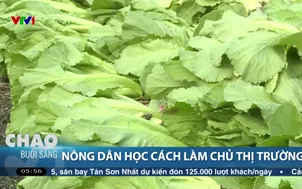 Nông dân học cách làm chủ thị trường