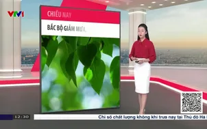 Bản tin thời tiết 12h30 - 29/4/2026