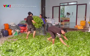 Đường tới nông trại: Nông thôn mới - bước chuyển giai đoạn