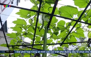 Bảo đảm an toàn lao động