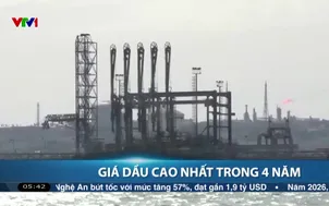 Giá dầu cao nhất trong 4 năm