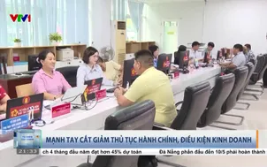 Mạnh tay cắt giảm thủ tục hành chính, điều kiện kinh doanh